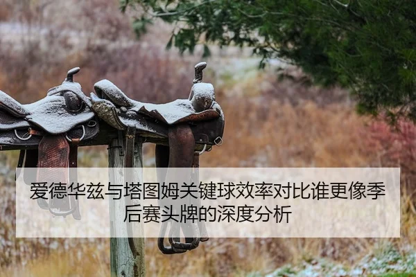 爱德华兹与塔图姆关键球效率对比谁更像季后赛头牌的深度分析