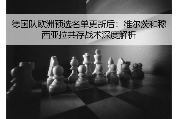 de-guo-dui-ou-zhou-yu-xuan-ming-dan-geng-xin-hou-wei-er-ci-he-mu-xi-ya-la-gong-cun-zhan-shu-shen-du-jie-xi-2-347.jpg